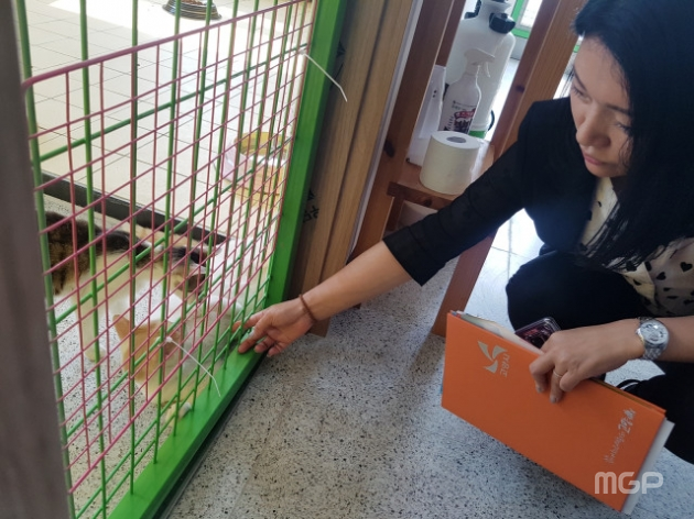 손동숙 의원이 동물보호센터에 있는 고양이에게 다가가 쓰다듬고 있다. (사진 = 손동숙 의원)