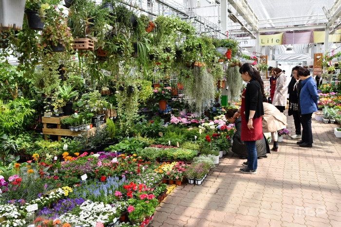 3일 하나로꽃플라워마트를 찾은 시민들이 꽃 구경을 하고 있다.