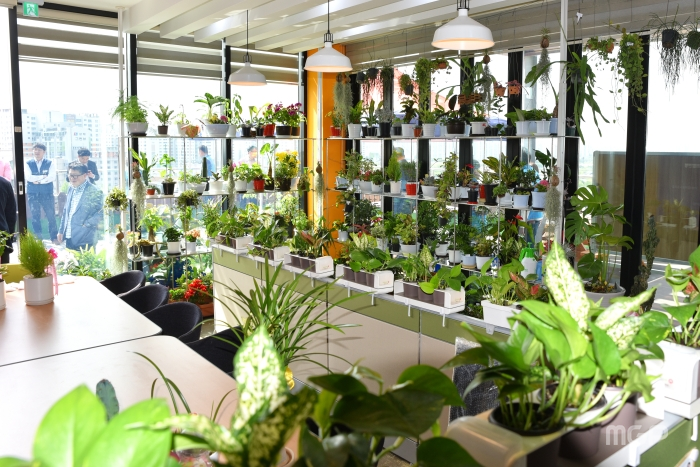 공기정화식물 100여 종으로 꾸며진 조합사무실