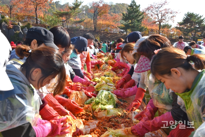 파주시새마을부녀회는 7일 파주스타디움에서 '사랑의 김장 담그기' 행사를 개최했다.