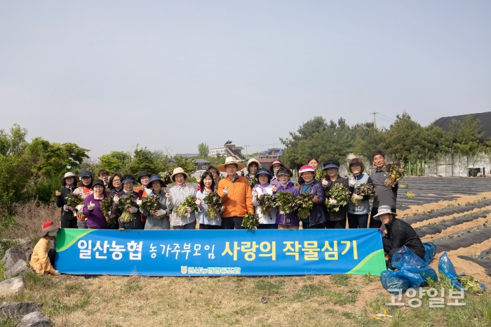 일산농협 농가주부모임 회원들과 직원들이 '사랑의 작물 심기' 행사를 가졌다.