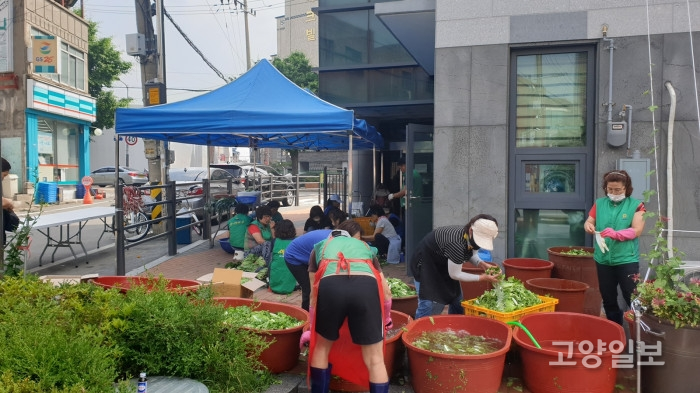 흥선동 새마을부녀회는 지난 16일 흥선동 행정복지센터에서 이웃사랑 여름나기 열무김치 나눔 행사를 개최했다.
