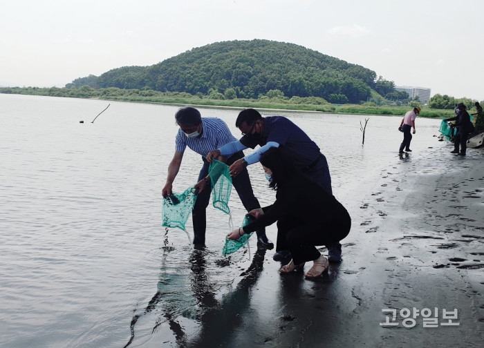 김포시는 지난 19일 고촌읍 백마도에서 어업인 등 30여 명이 참여한 가운데 어린 참게 33만 2천여 마리를 한강에 방류했다.