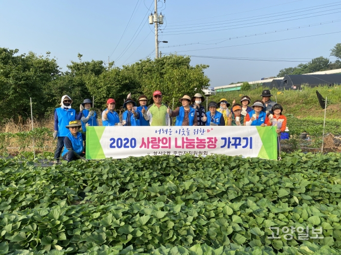 성사2동 주민자치위원회는 20일 지역 내 어려운 이웃을 돕기 위한 ‘2020 사랑의 나눔농장’ 감자 캐기를 실시했다.