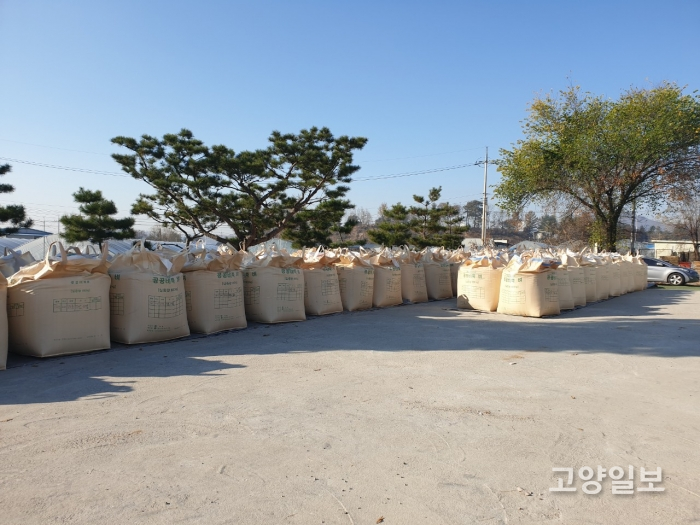 동두천시가 지역 농업인이 수확한 건조벼 44.8톤 매입하고 정부양곡 보관창고에 비축했다.