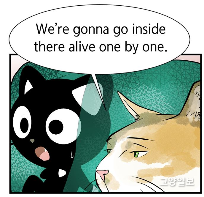 나루코(주)의 검은 고양이 캐릭터 '블랙캣나루'가 라인 웹툰 코너에 영어 만화를 연재하고 있다.
