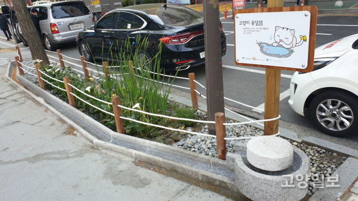 지하철 유출지하수를 활용한 자투리 습지 ‘고양이 옹달샘’ 모습