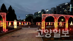 새로 개장한 일산호수공원 장미원(밤)